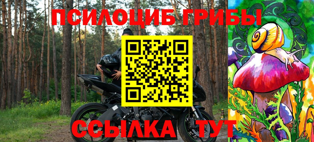 Псилоцибиновые грибы Psilocybe  Вход с VPN  Королёв 